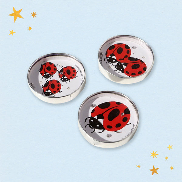 Ladybird Puzzle Game